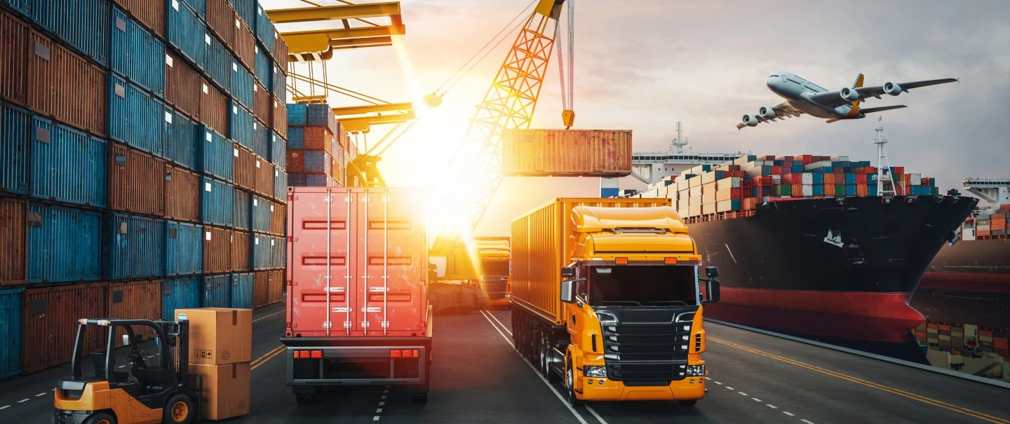 We Best Quality CarryingService Company